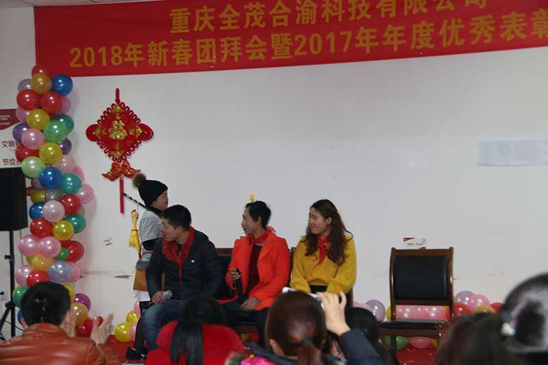 2018年團(tuán)拜會